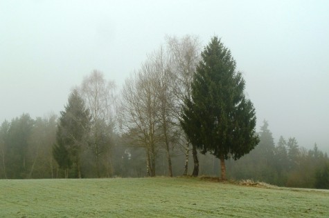Jack Frost’s slow start