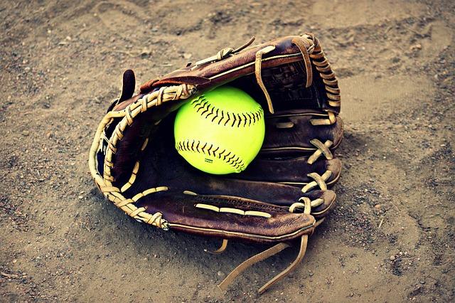 Softball team receives new head varsity coach