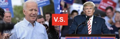2020 election showdown: views of both candidates